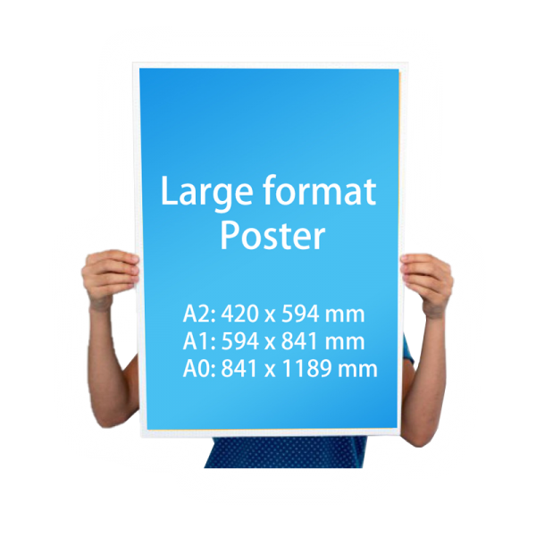 Poster (Slide) Poster (Slide)